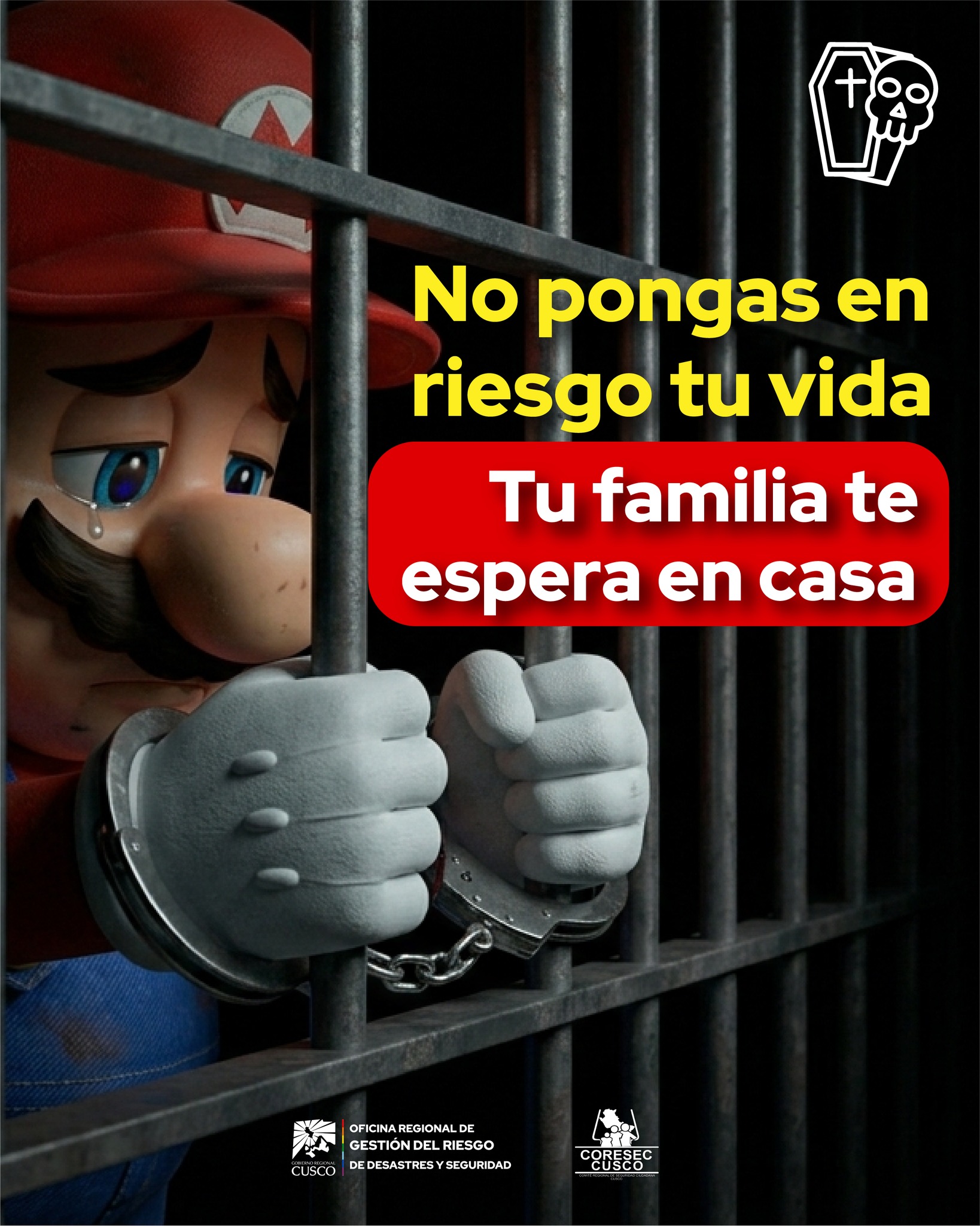 Imagen 6